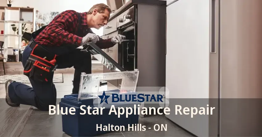 Blue Star Appliance Repair Halton Hills - ON