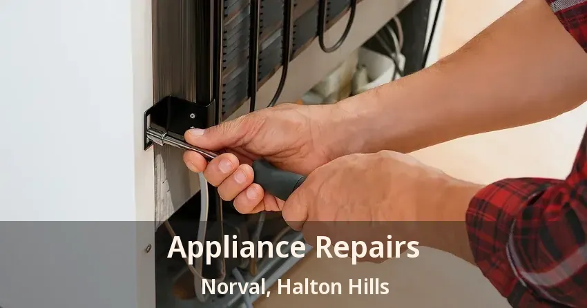 Appliance Repairs Norval, Halton Hills - ON
