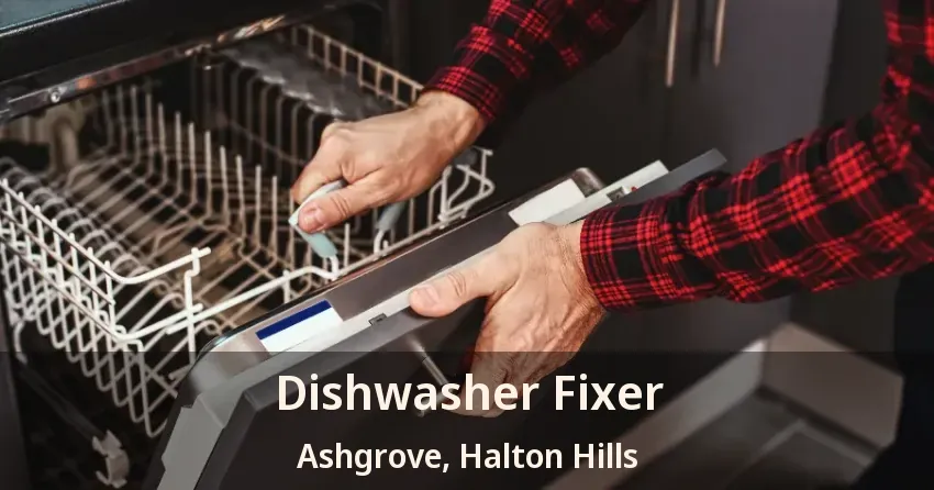 Dishwasher Fixer Ashgrove, Halton Hills - ON