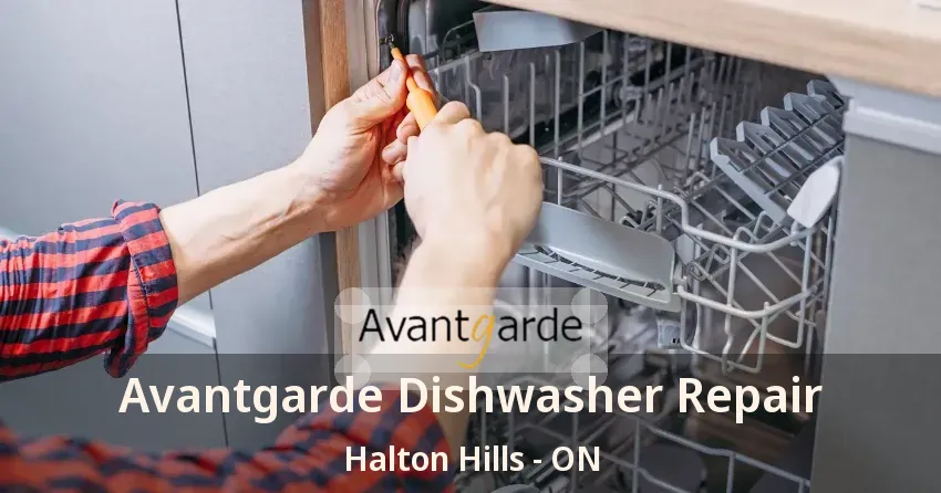 Avantgarde Dishwasher Repair Halton Hills - ON