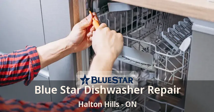 Blue Star Dishwasher Repair Halton Hills - ON