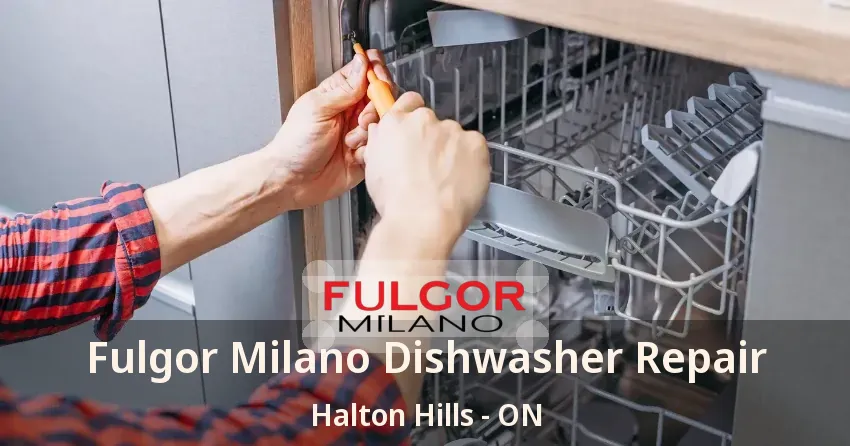 Fulgor Milano Dishwasher Repair Halton Hills - ON