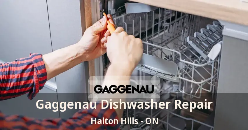 Gaggenau Dishwasher Repair Halton Hills - ON