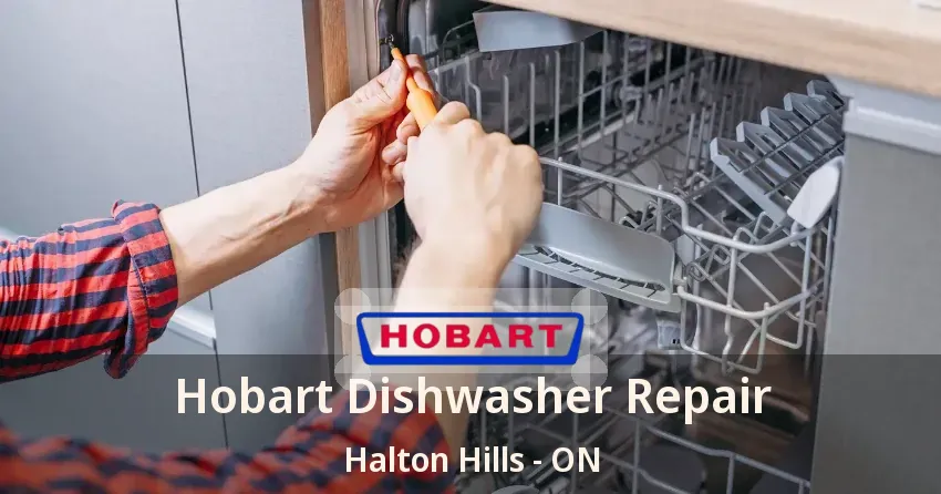 Hobart Dishwasher Repair Halton Hills - ON