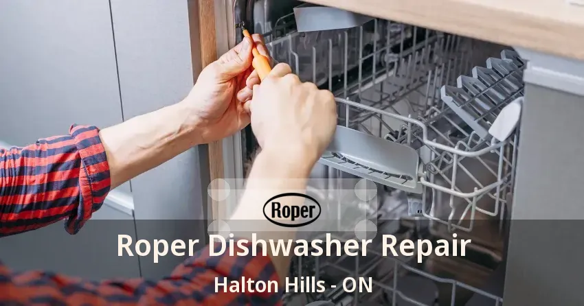 Roper Dishwasher Repair Halton Hills - ON