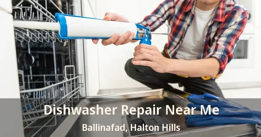 Dishwasher Repair Near Me Ballinafad, Halton Hills - ON