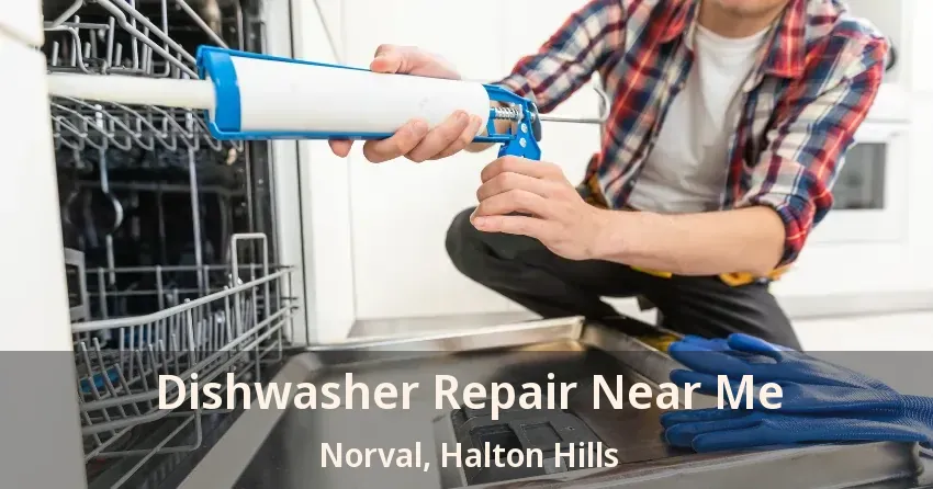 Dishwasher Repair Near Me Norval, Halton Hills - ON