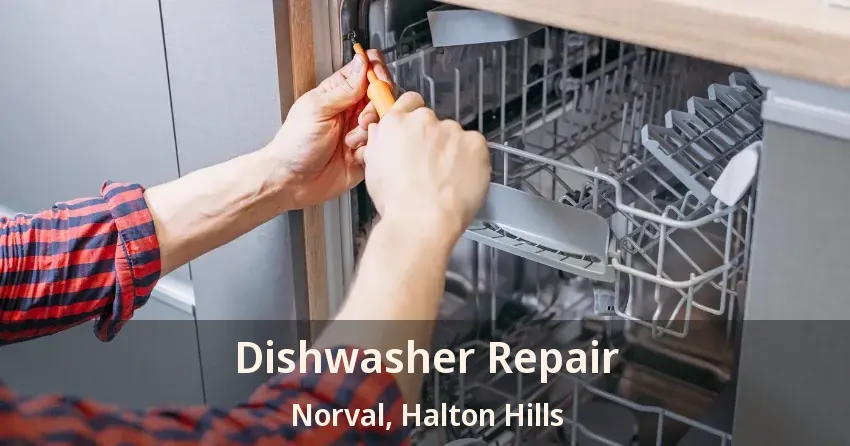 Dishwasher Repair Norval, Halton Hills - ON