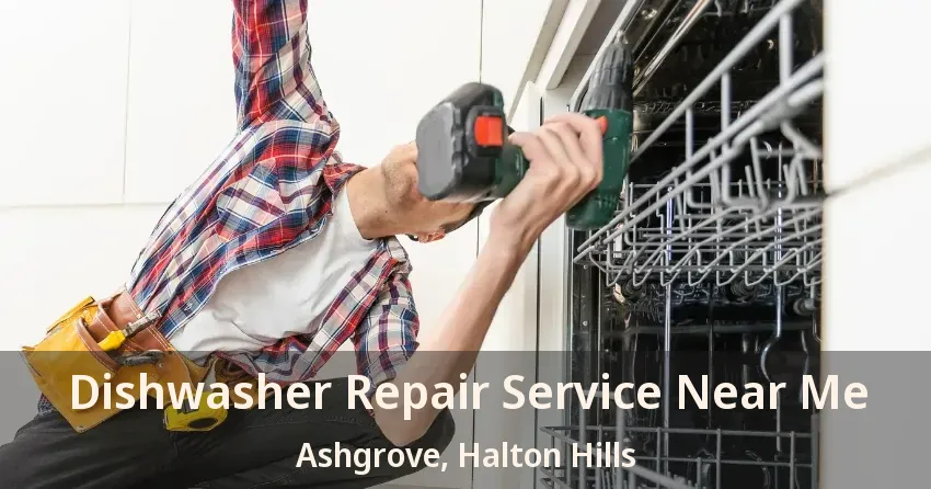 Dishwasher Repair Service Near Me Ashgrove, Halton Hills - ON