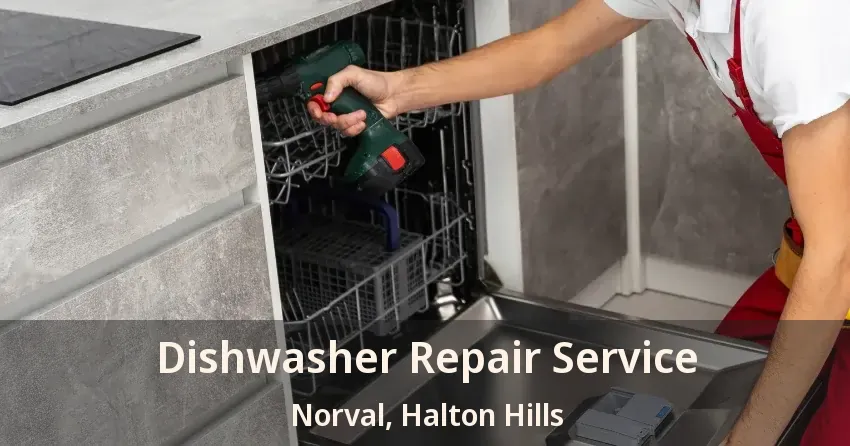 Dishwasher Repair Service Norval, Halton Hills - ON