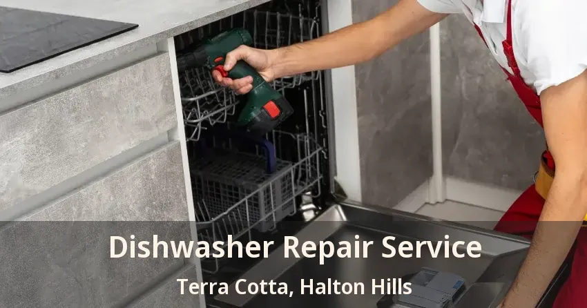 Dishwasher Repair Service Terra Cotta, Halton Hills - ON