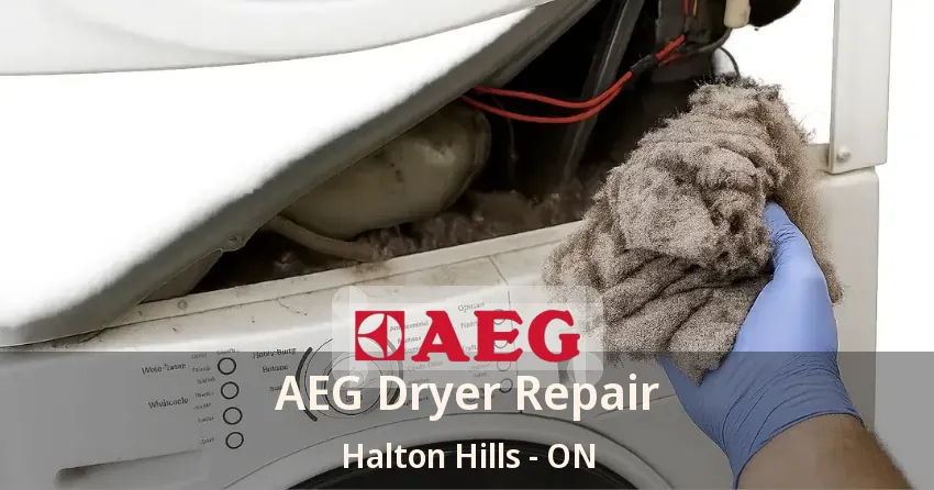 AEG Dryer Repair Halton Hills - ON