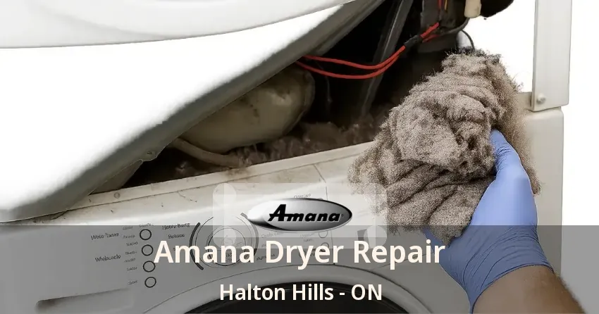 Amana Dryer Repair Halton Hills - ON
