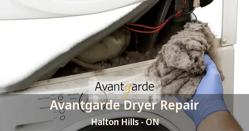 Avantgarde Dryer Repair Halton Hills - ON