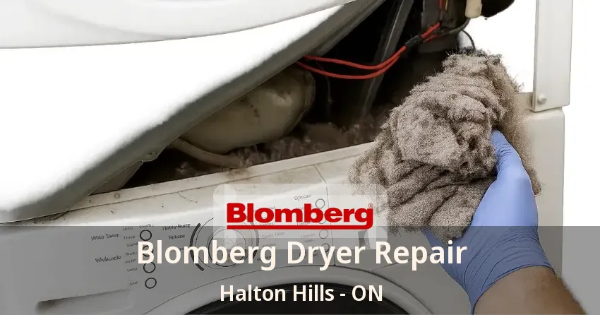 Blomberg Dryer Repair Halton Hills - ON