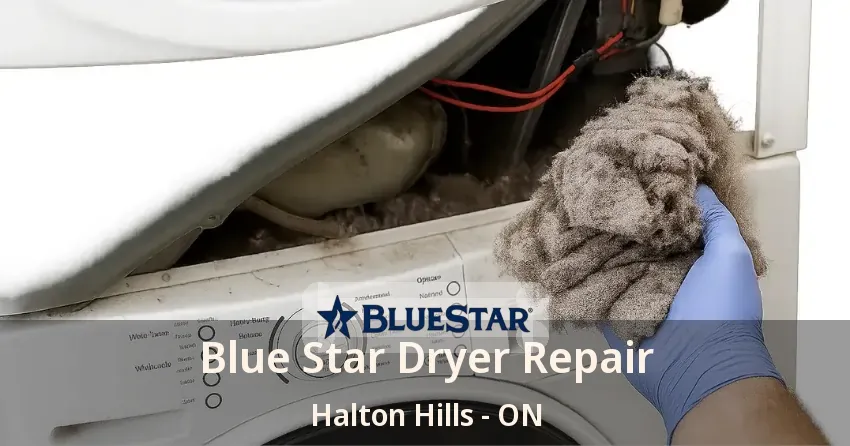 Blue Star Dryer Repair Halton Hills - ON