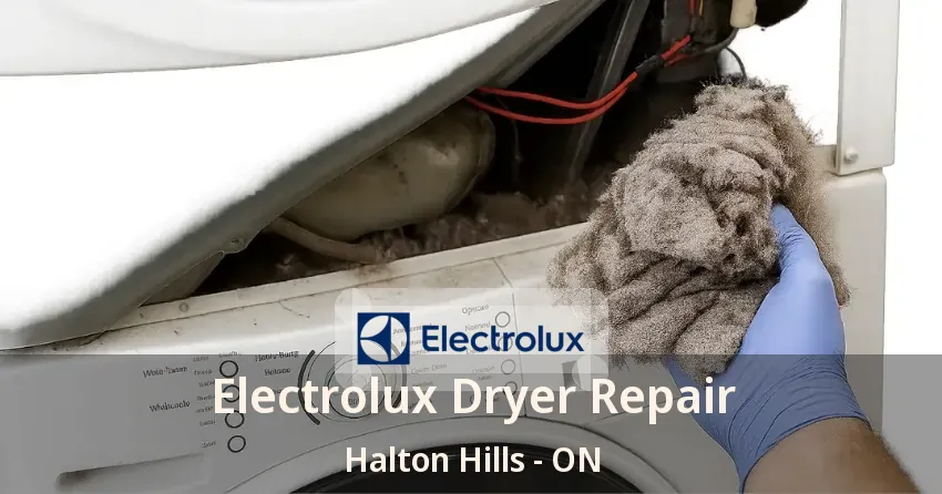 Electrolux Dryer Repair Halton Hills - ON
