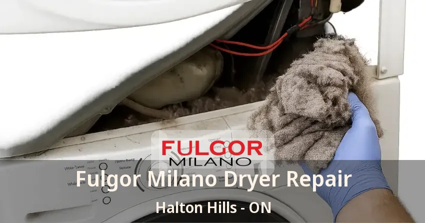 Fulgor Milano Dryer Repair Halton Hills - ON