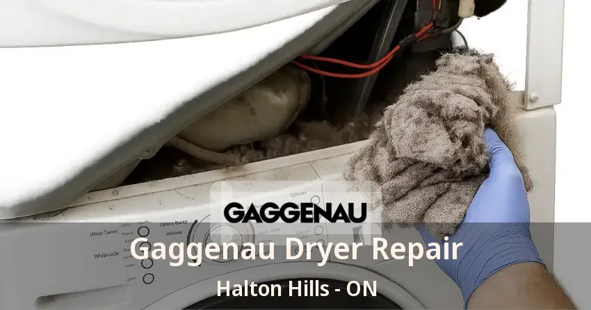 Gaggenau Dryer Repair Halton Hills - ON