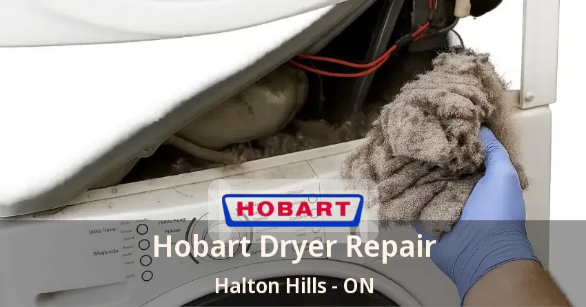 Hobart Dryer Repair Halton Hills - ON