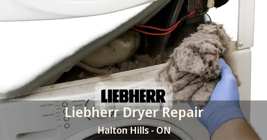 Liebherr Dryer Repair Halton Hills - ON