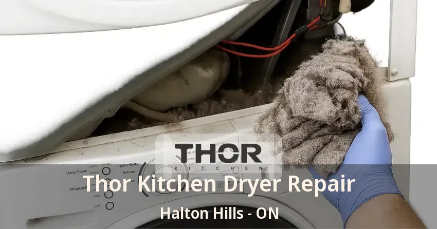 Thor Kitchen Dryer Repair Halton Hills - ON