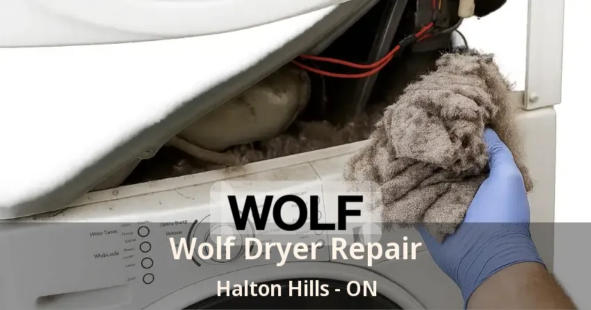 Wolf Dryer Repair Halton Hills - ON
