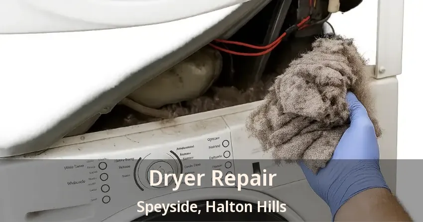 Dryer Repair Speyside, Halton Hills - ON