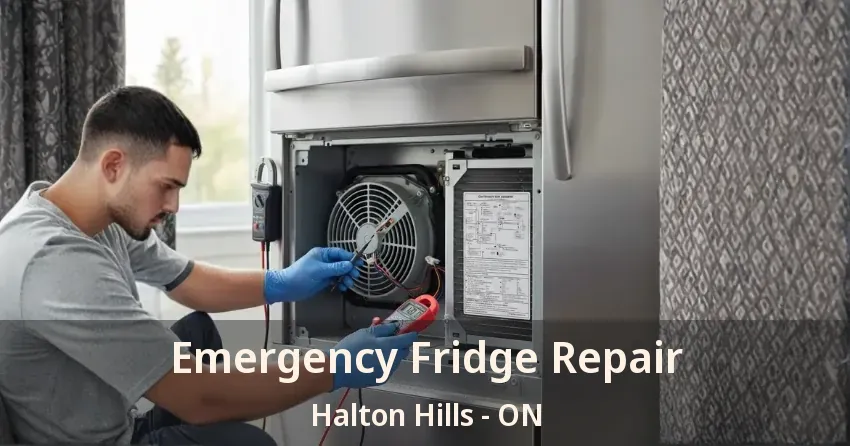 Emergency Fridge Repair Halton Hills - ON