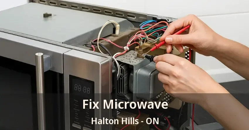 Fix Microwave Halton Hills - ON
