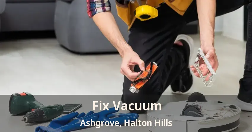 Fix Vacuum Ashgrove, Halton Hills - ON