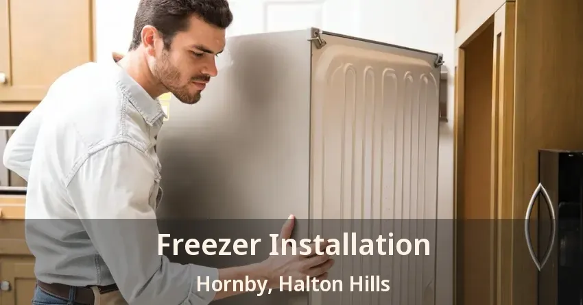 Freezer Installation Hornby, Halton Hills - ON