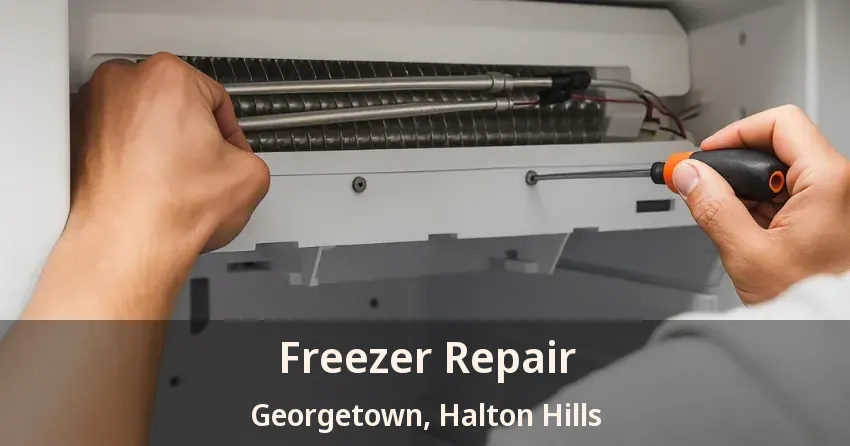 Freezer Repair Georgetown, Halton Hills - ON