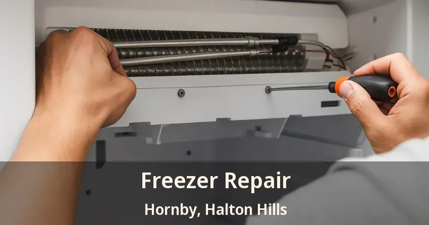 Freezer Repair Hornby, Halton Hills - ON