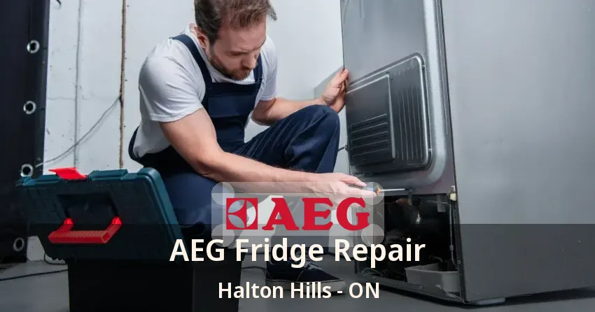 AEG Fridge Repair Halton Hills - ON