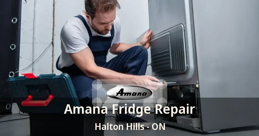 Amana Fridge Repair Halton Hills - ON