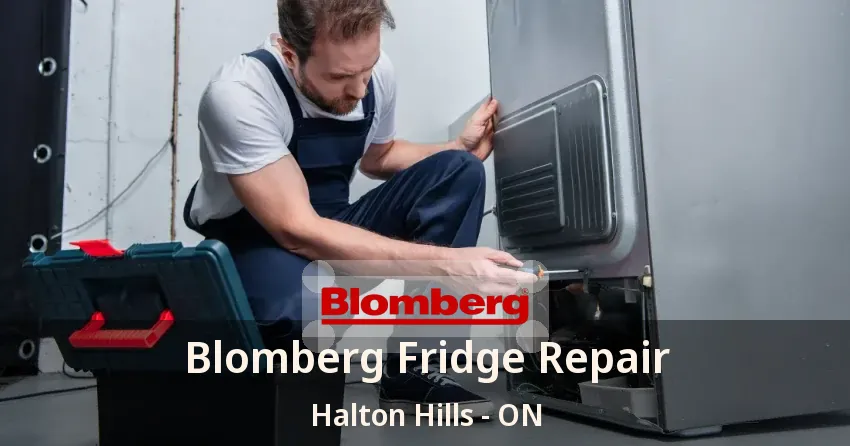 Blomberg Fridge Repair Halton Hills - ON