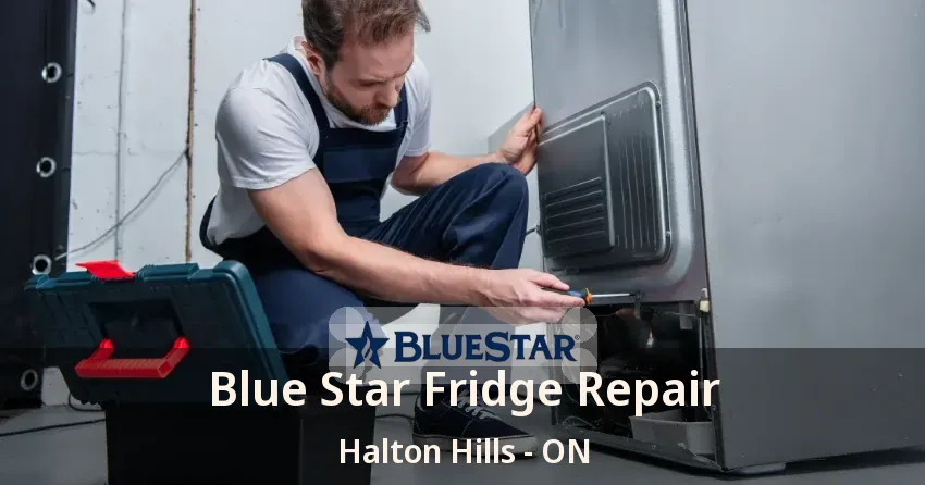 Blue Star Fridge Repair Halton Hills - ON