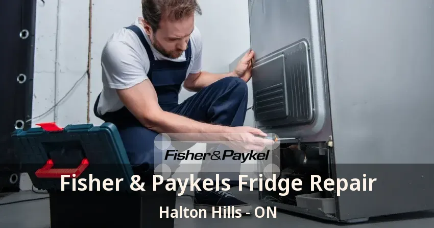 Fisher & Paykels Fridge Repair Halton Hills - ON