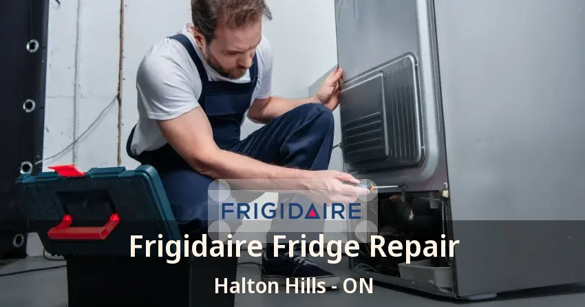 Frigidaire Fridge Repair Halton Hills - ON