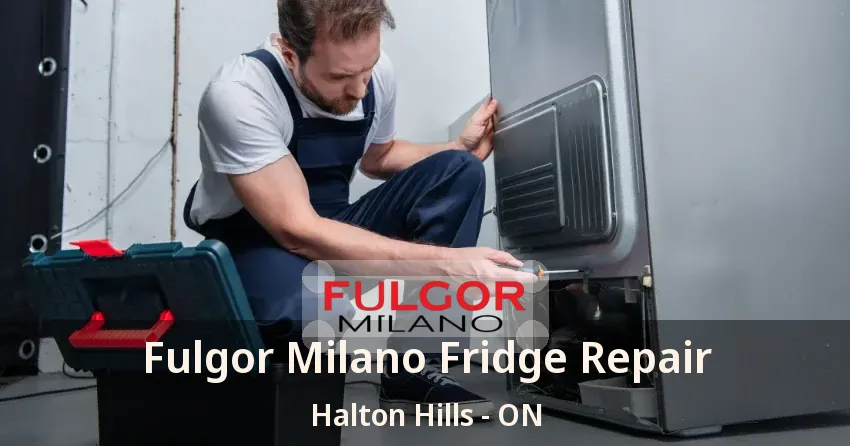 Fulgor Milano Fridge Repair Halton Hills - ON