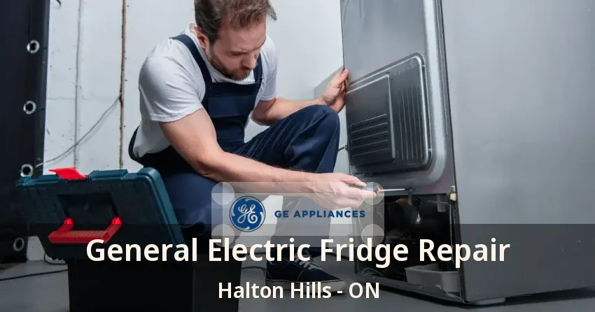 General Electric Fridge Repair Halton Hills - ON