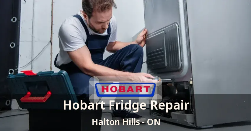 Hobart Fridge Repair Halton Hills - ON