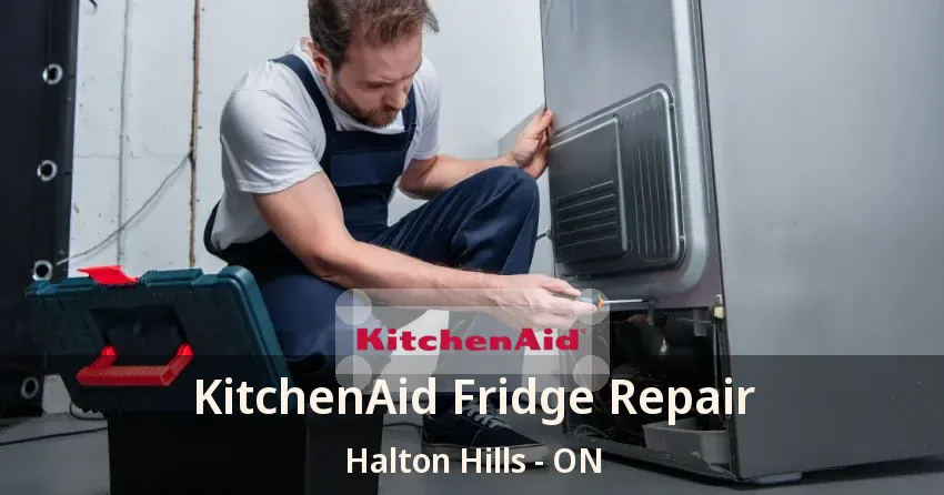 KitchenAid Fridge Repair Halton Hills - ON
