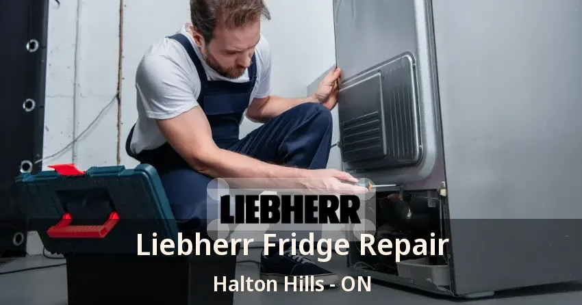 Liebherr Fridge Repair Halton Hills - ON