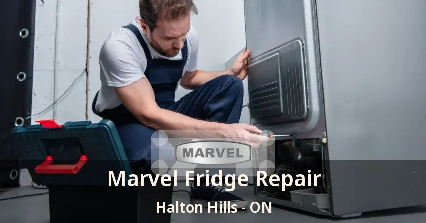 Marvel Fridge Repair Halton Hills - ON