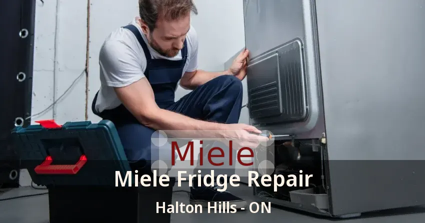 Miele Fridge Repair Halton Hills - ON