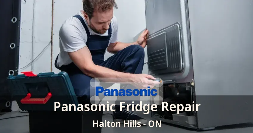 Panasonic Fridge Repair Halton Hills - ON