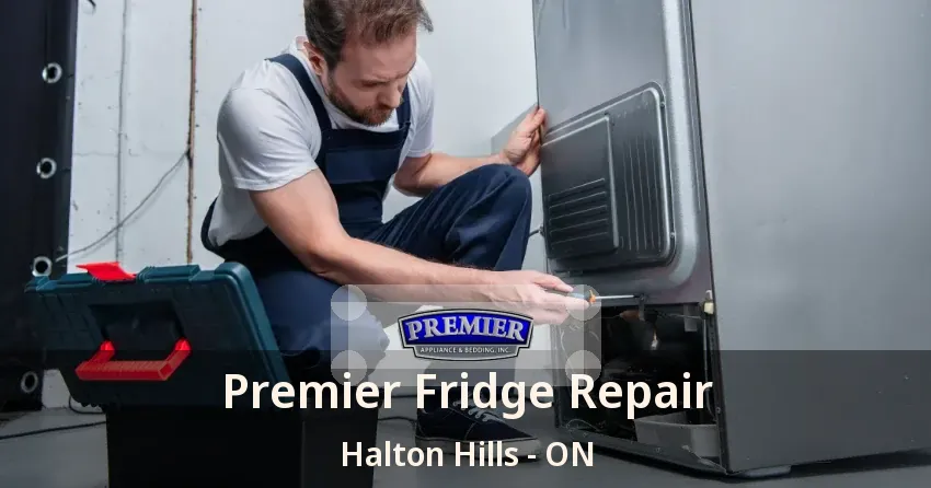 Premier Fridge Repair Halton Hills - ON