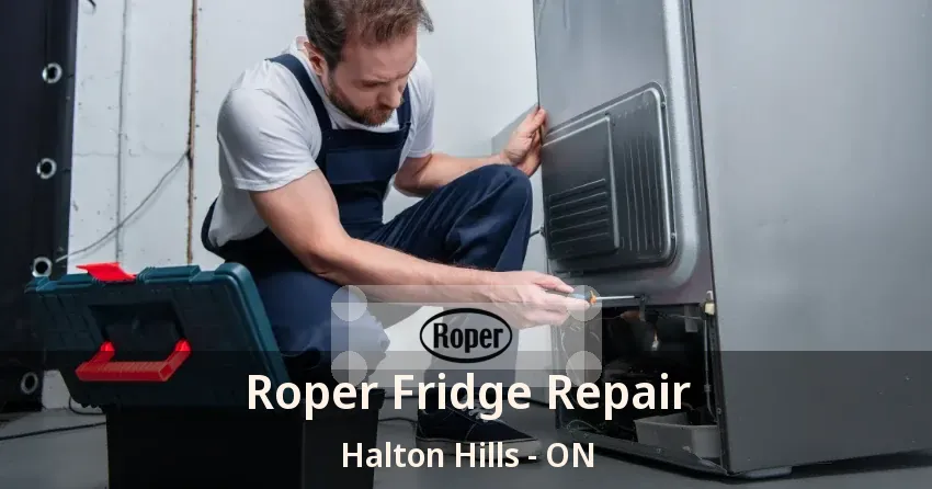 Roper Fridge Repair Halton Hills - ON